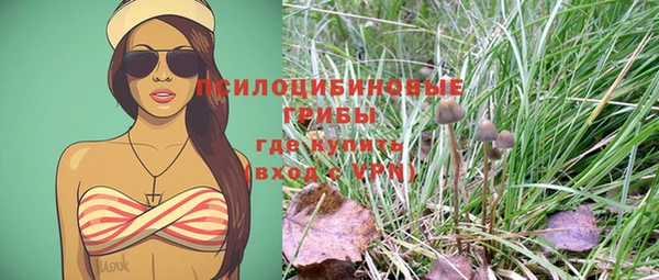 МДПВ Алзамай