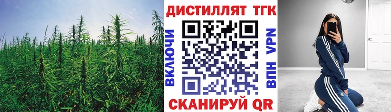 Дистиллят ТГК THC oil  mega ссылка  Шелехов 
