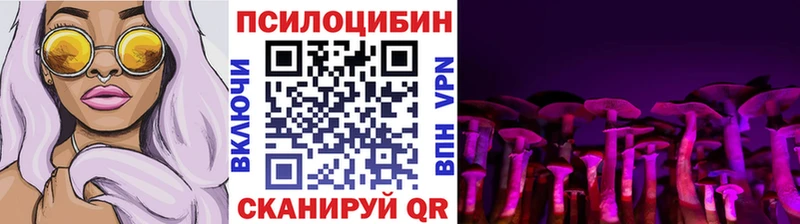 Псилоцибиновые грибы Psilocybe  что такое наркотик  Шелехов 